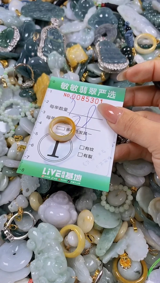 【闪购商品】翡翠颈饰未镶嵌闪购商品0085301