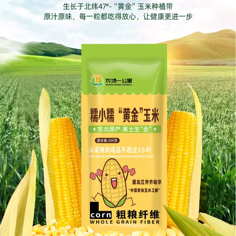 【24年新鲜头茬】低脂黄糯玉米8穗软糯香甜-万年黑土玉米之都