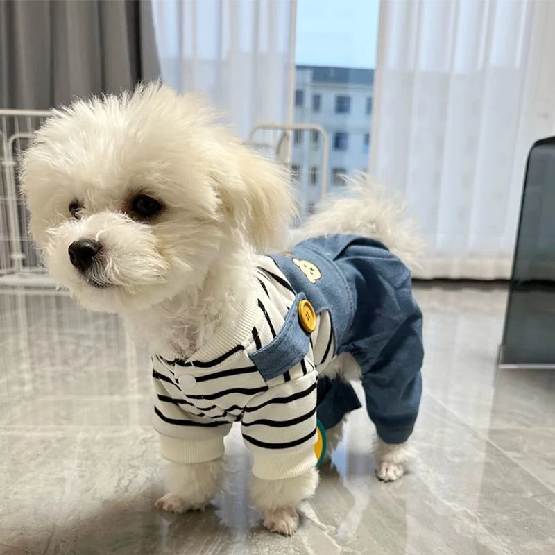 狗狗衣服春夏季薄款小熊四脚衣可牵引泰迪比熊雪纳瑞宠物小型幼犬