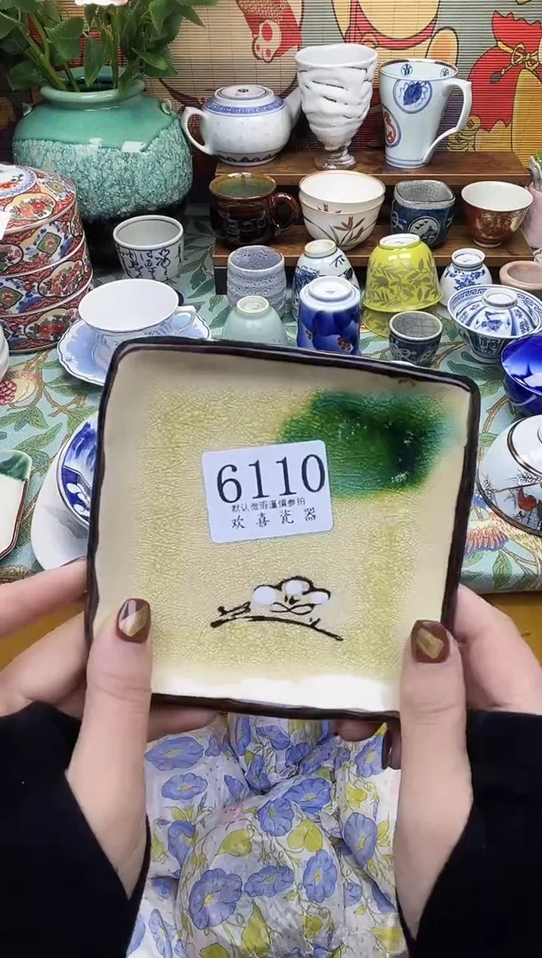 瓷片.*玖           6110