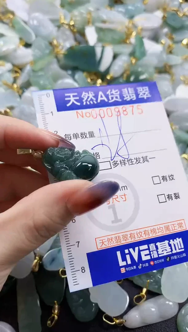 颈饰未镶嵌翡翠天然A货翡翠