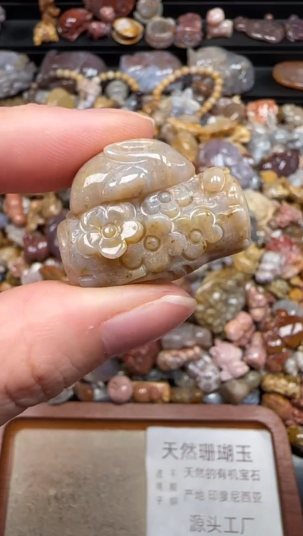 硅化珊瑚（珊瑚玉）未镶嵌颈饰792