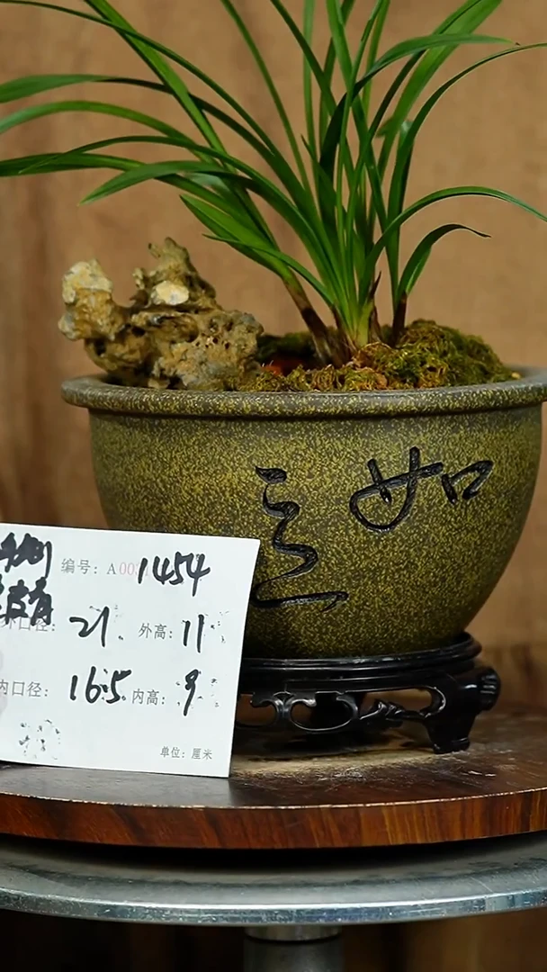 紫砂花盆1454+S紫砂花盆紫砂