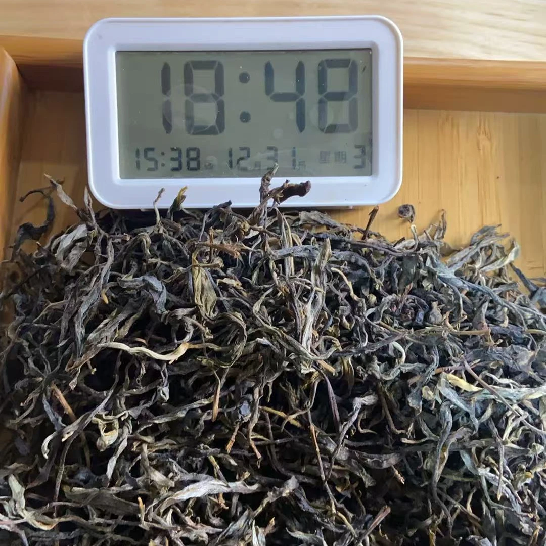 2025年 坝卡甲山（春） 大树混采生茶散茶-168号