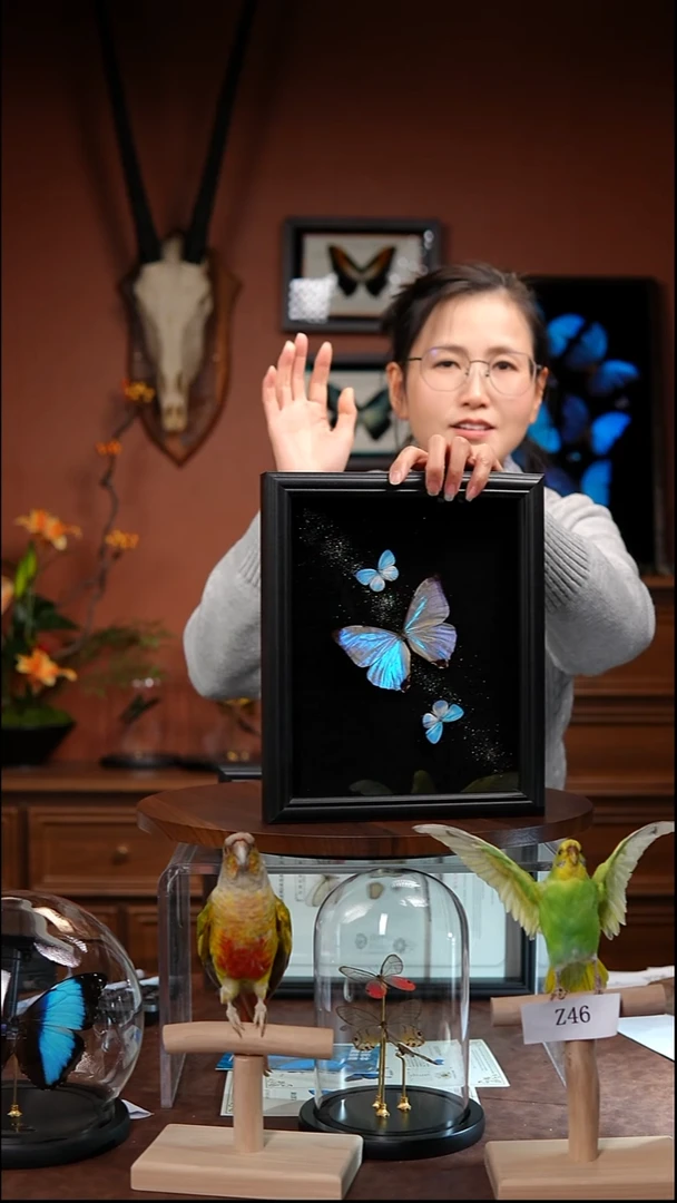 Z121   夜明珠组合   银河背景