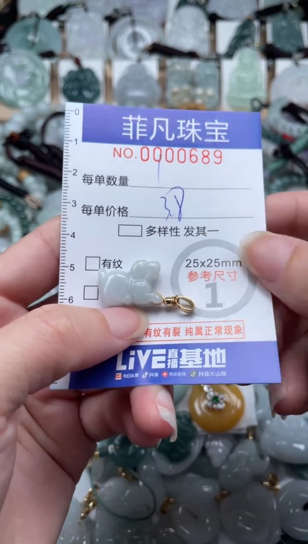 翡翠未镶嵌颈饰00..0689