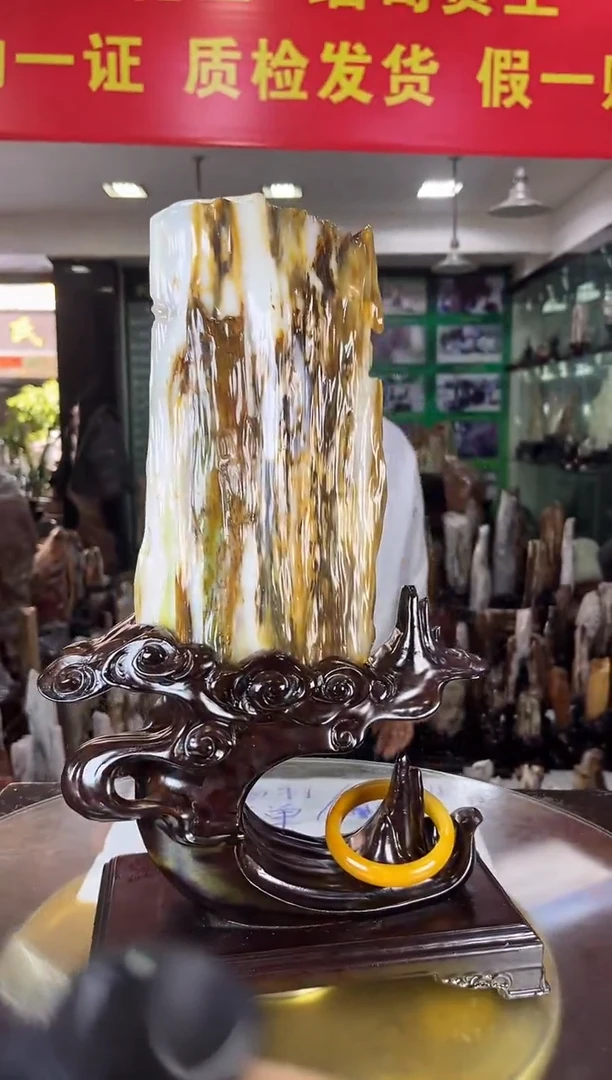 未镶嵌珠宝奇石硅化玉缅甸天然树化玉精品居家摆件