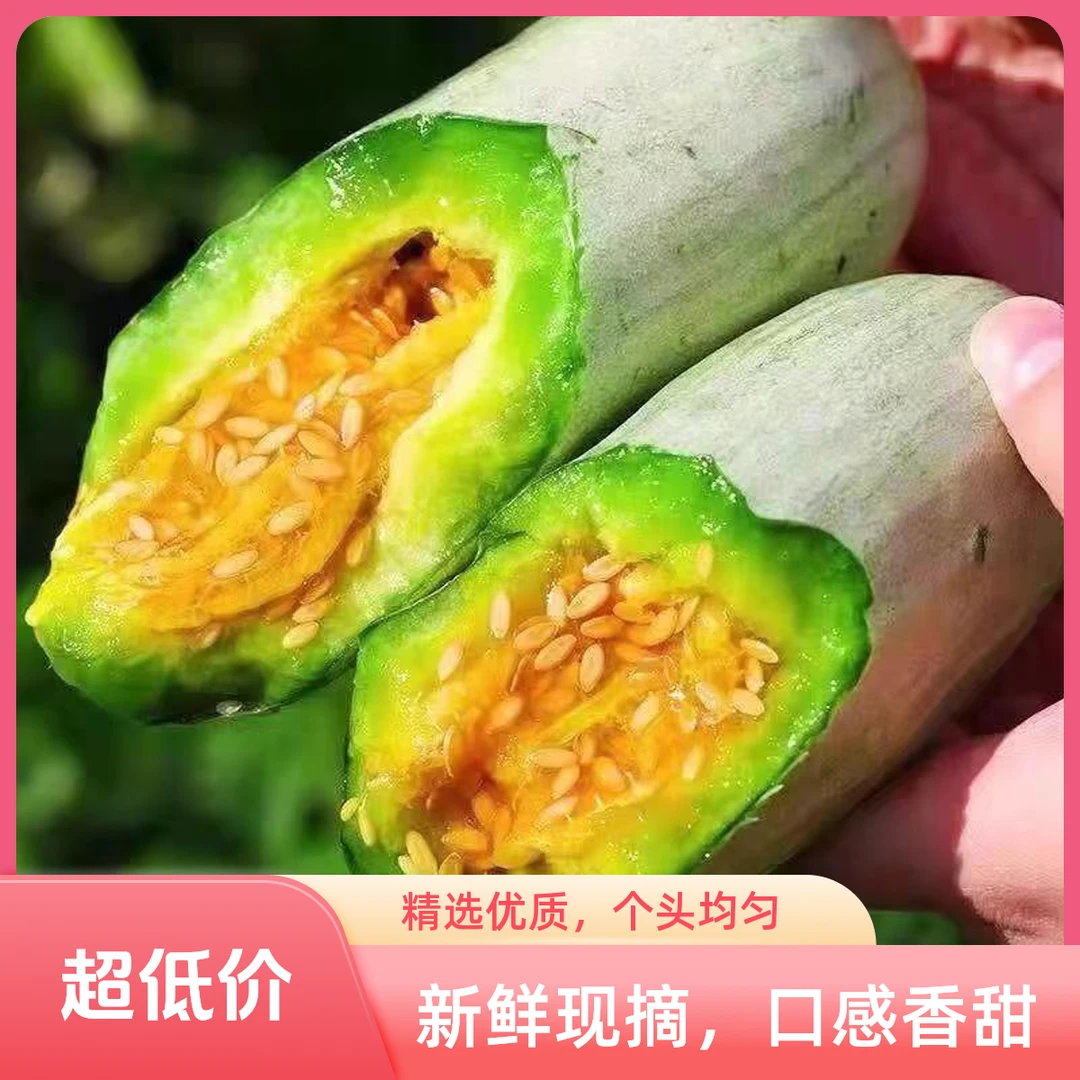 【甜心果业甄选】河北青县头茬博洋61甜瓜酥脆香甜新鲜应季水果3斤5斤装河北省