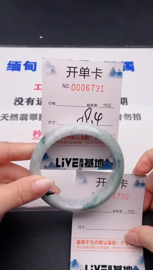 未镶嵌手镯翡翠31