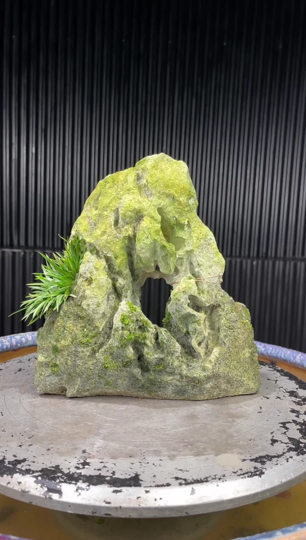 吴定石一物一拍专属