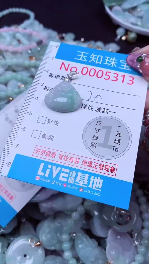 吊坠(不含链)未镶嵌翡翠5313