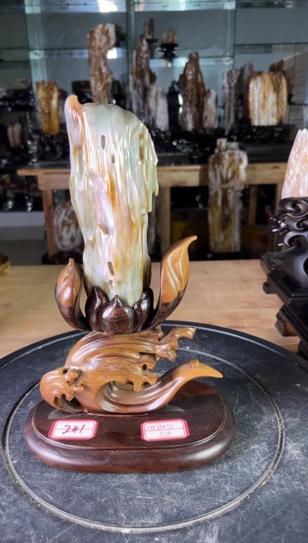 【闪购商品】硅化玉珠宝奇石未镶嵌1