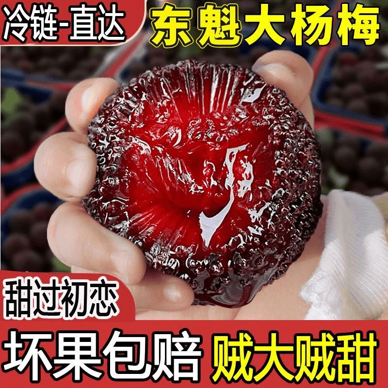 达人专属【买3斤送3斤】正宗仙居东魁9A大杨梅顺丰次日达新鲜杨梅杨梅同城送浙江省