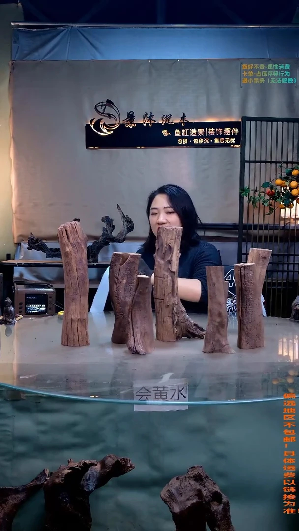 摆件景沐沉木B217景沐沉木B217