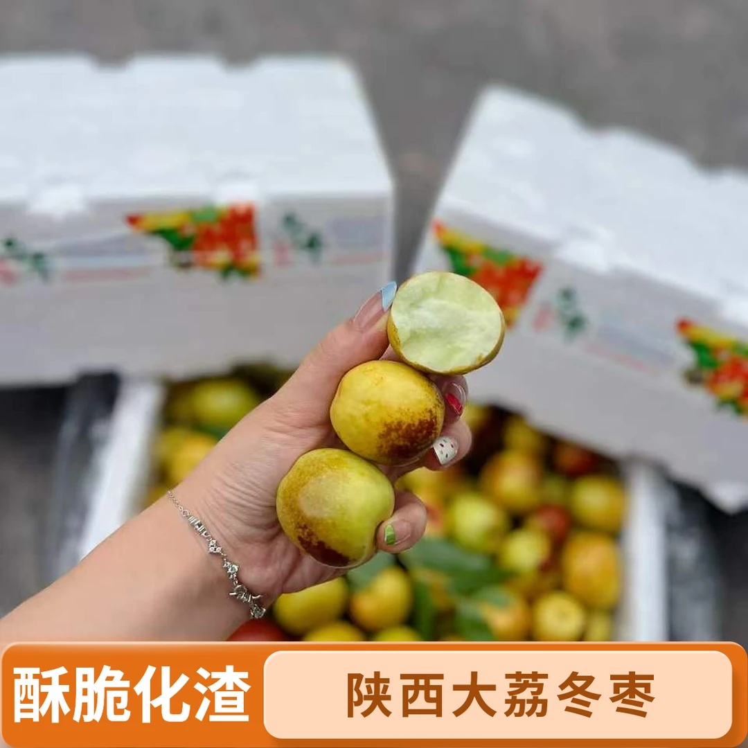 【韩美丽专属】陕西大荔冬枣 酥脆化渣 神甜满足