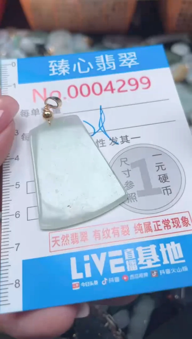 颈饰未镶嵌翡翠4299