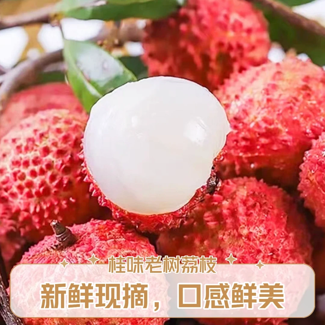 【冷链直达】广东桂味老树荔枝5斤果肉饱满当季水果荔枝同城送7