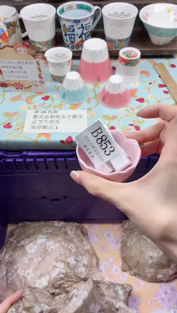 瓷片一***子                B853