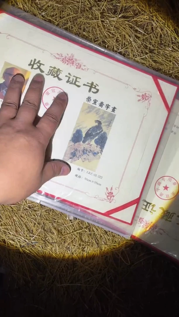 木都哟多链接68977