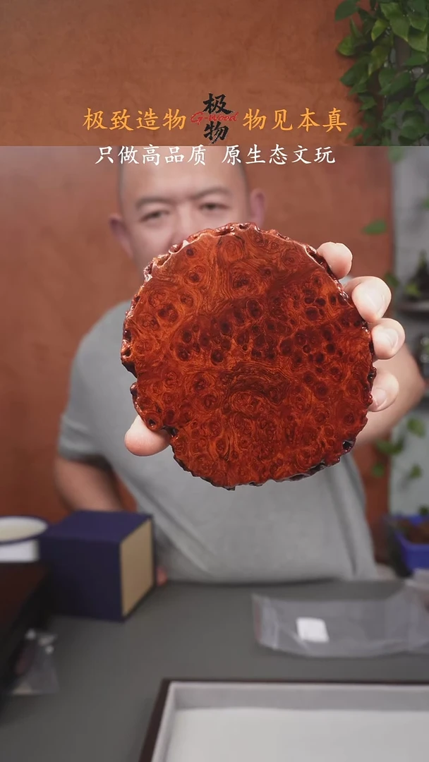 缅甸花梨（花梨木类）瘤疤底座 壶承