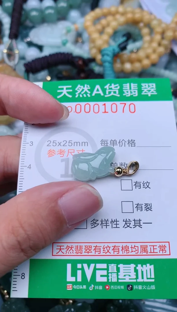 翡翠未镶嵌颈饰.0001070