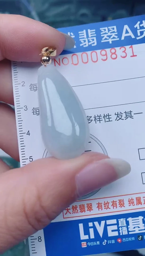 颈饰未镶嵌翡翠00009831