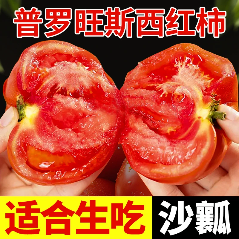 正宗普罗旺斯西红柿新鲜自然熟沙瓤生吃水果当季蔬菜大番茄圣女果