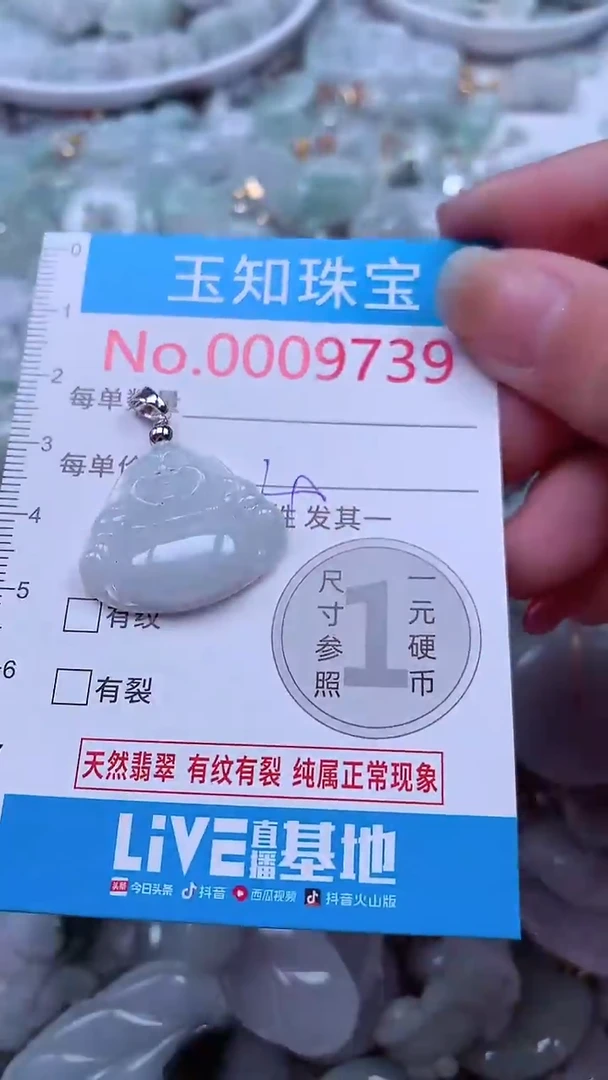 吊坠(不含链)未镶嵌翡翠9739