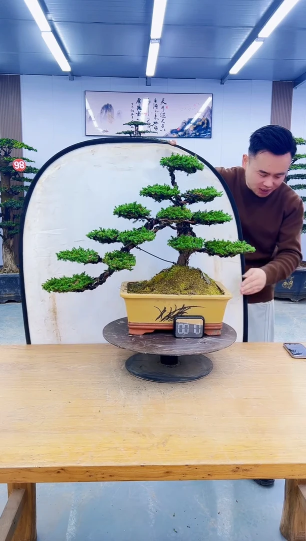 以实际为准000000000000