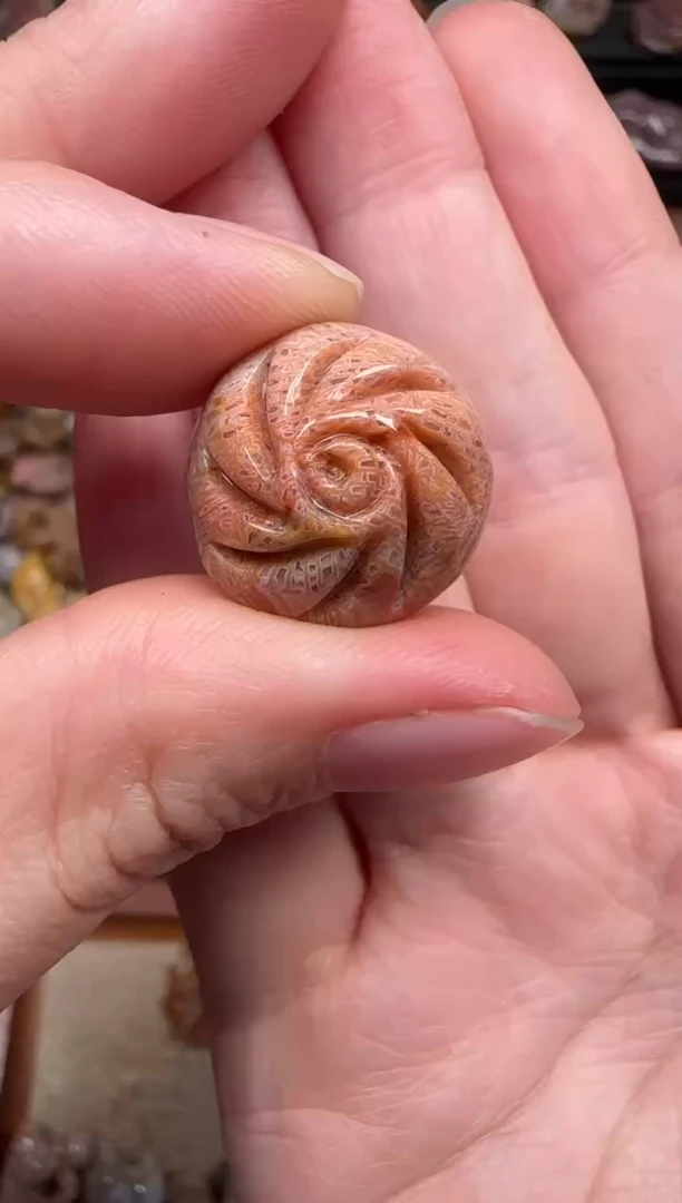 颈饰未镶嵌硅化珊瑚（珊瑚玉）339