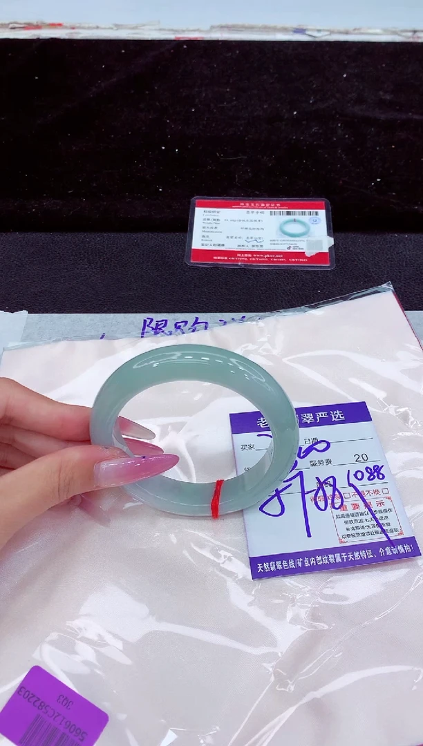 未镶嵌手镯翡翠1