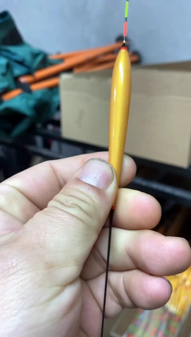 小凤仙心玄到手5支1.5-4.0