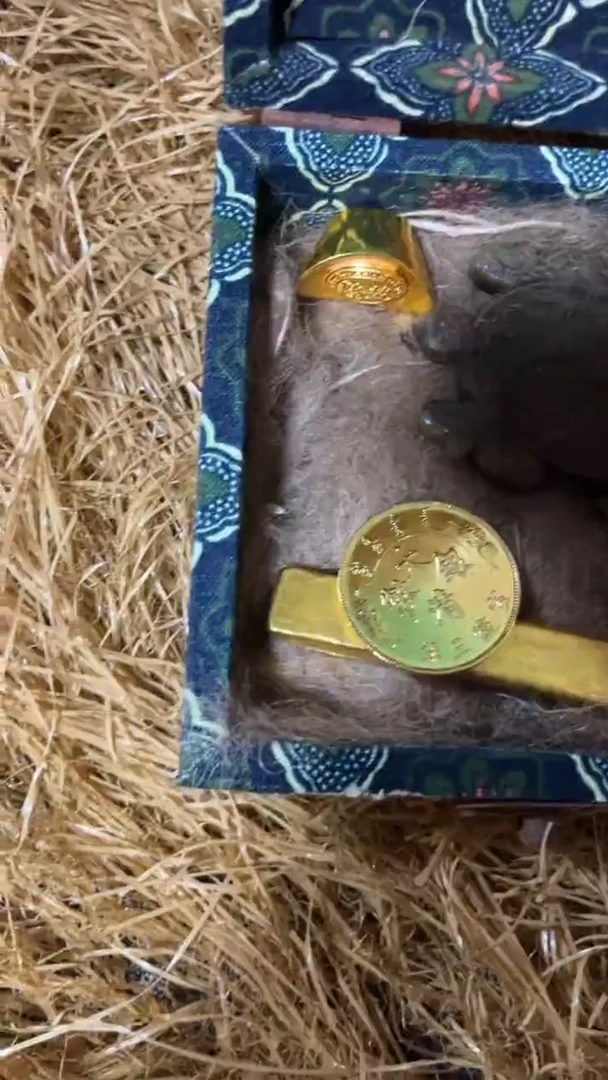 香榧木（1个开封大蓝小盒子里面1个小乌龟）