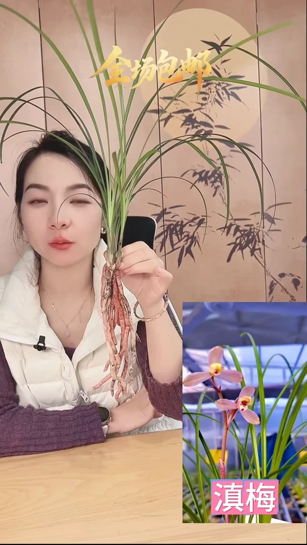 当前无花栽培后可以开花:滇梅