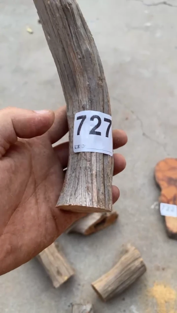 柏木（崖柏）太行陈化崖柏切片一片727