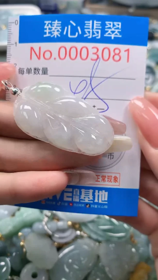 翡翠未镶嵌颈饰3081