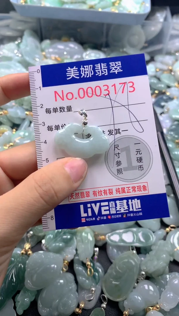 颈饰未镶嵌翡翠3173