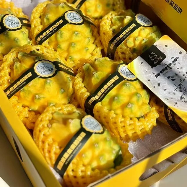 海南燕窝果（试吃装）