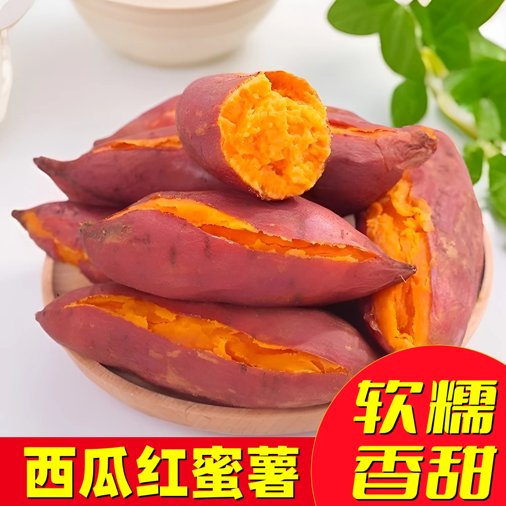 【正品】沙地西瓜红蜜薯新鲜现挖地瓜番芋软糯香甜红心番薯板栗榴莲
