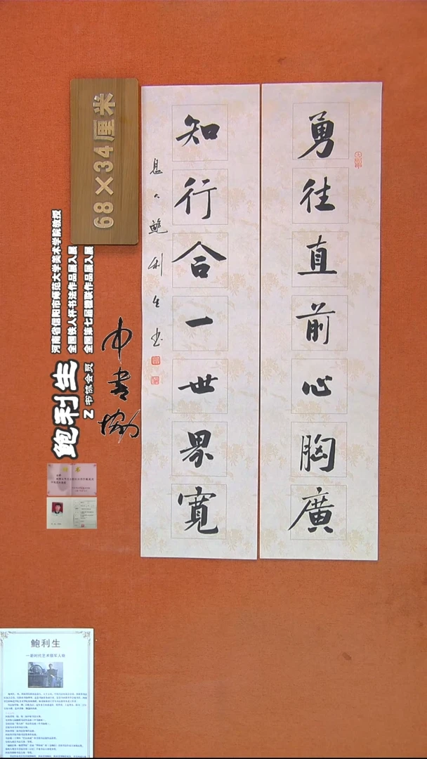 【闪购商品】书法379鲍利生书法作品