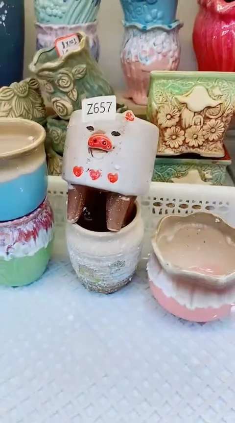 【闪购商品】陶瓷@@Z657