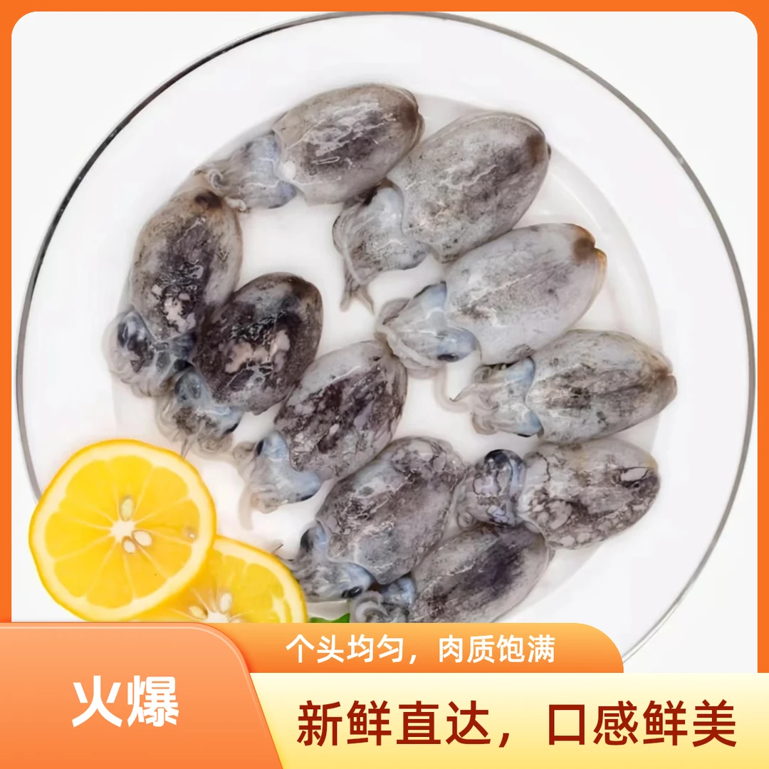 新鲜墨斗500g/盒厦门发货顺丰送货到家海鲜小墨鱼