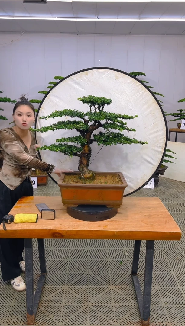 无花朵一物一拍一物一拍