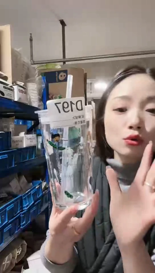 【闪购商品】瓷片进口家用百货带吸管杯D197