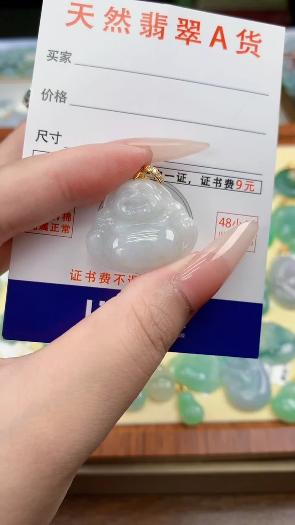 颈饰未镶嵌翡翠天然A货翡翠挂件