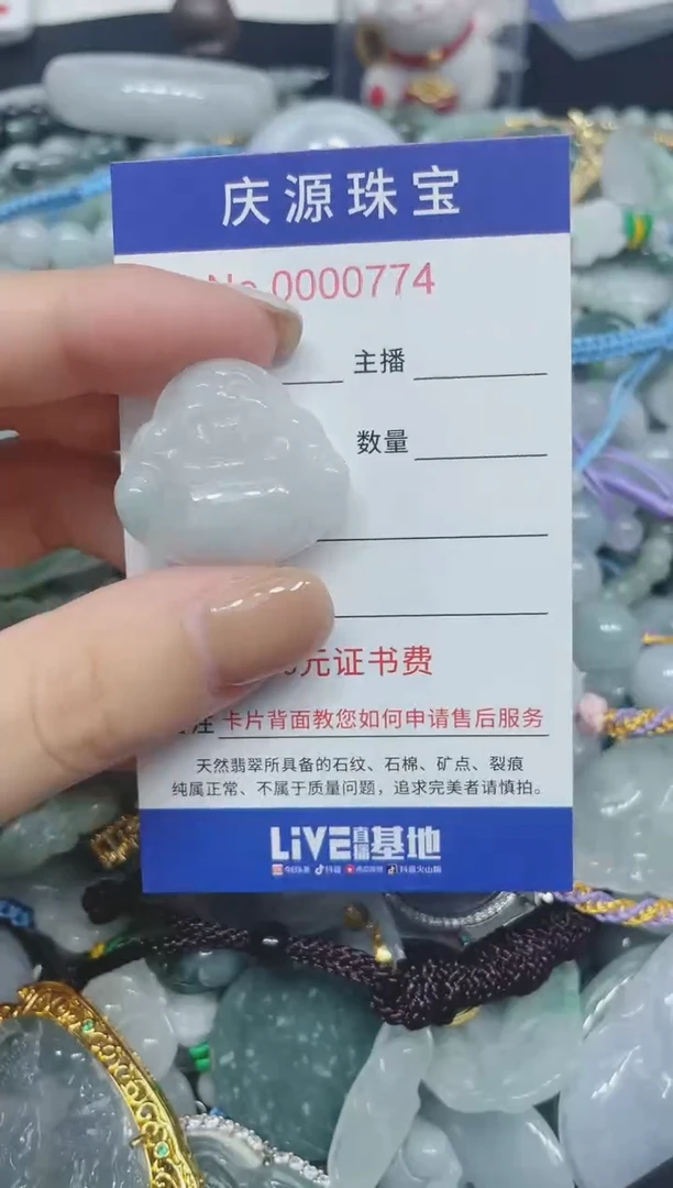 翡翠未镶嵌颈饰013