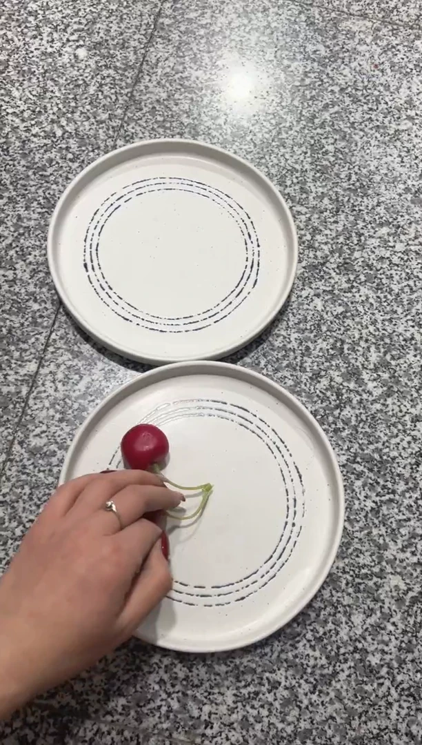 【闪购商品】瓷日式哑光线圈盘2个装（微瑕）