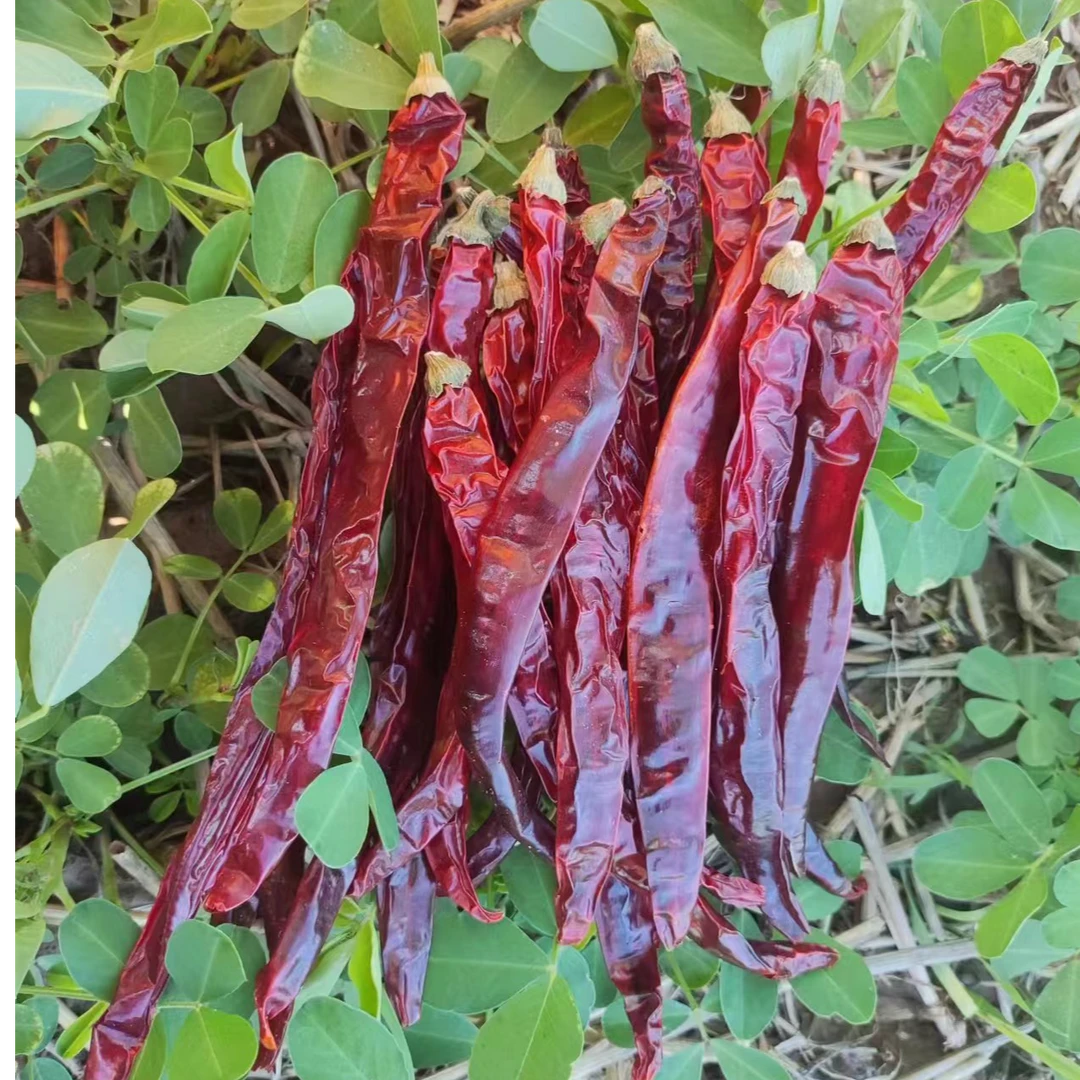 【微微辣】超香二荆条辣椒海椒干货香辣四川辣椒贵州油辣子农家特产