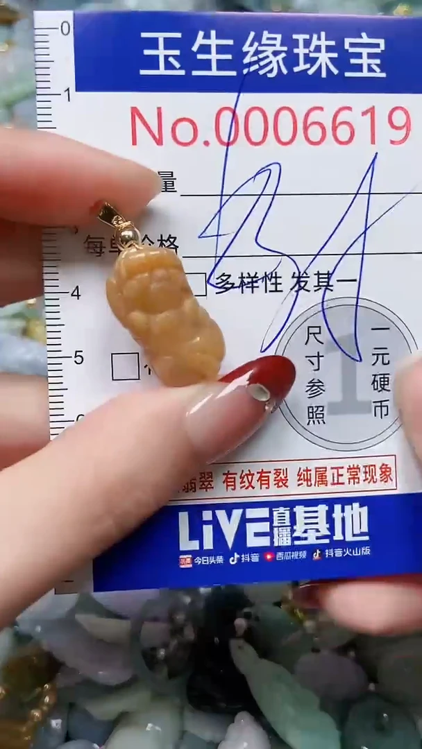 【闪购商品】翡翠颈饰未镶嵌闪购00006619
