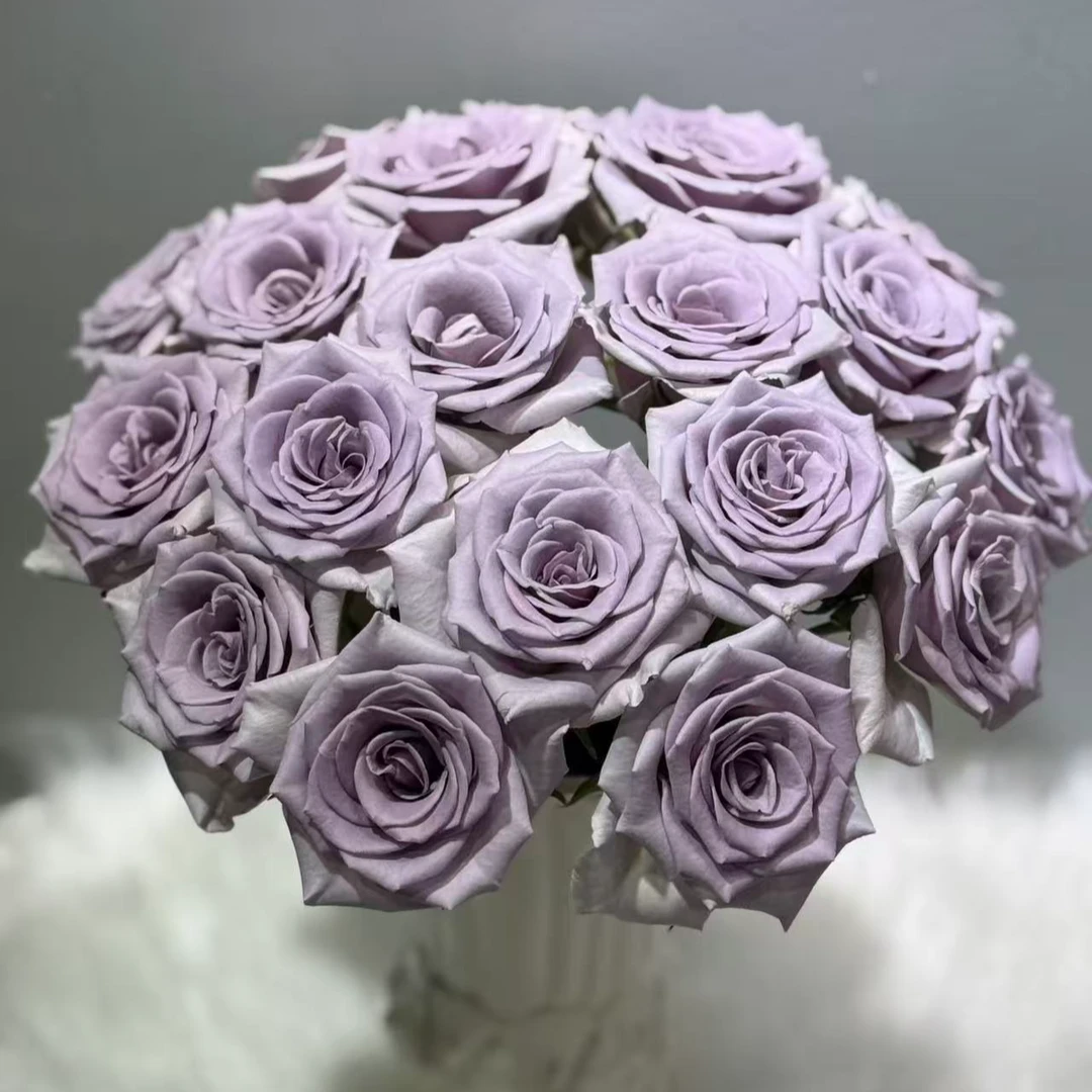 【惊艳蓝】A级稀有单头玫瑰 玖枝花优选 云南基地直发鲜花儿